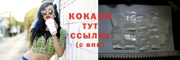 дурь Бронницы