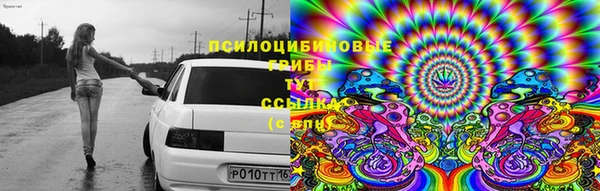 дурь Бронницы