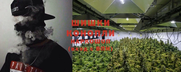 ГАЛЛЮЦИНОГЕННЫЕ ГРИБЫ Бугульма