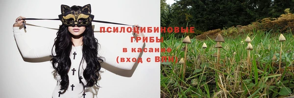 ГАЛЛЮЦИНОГЕННЫЕ ГРИБЫ Бугульма